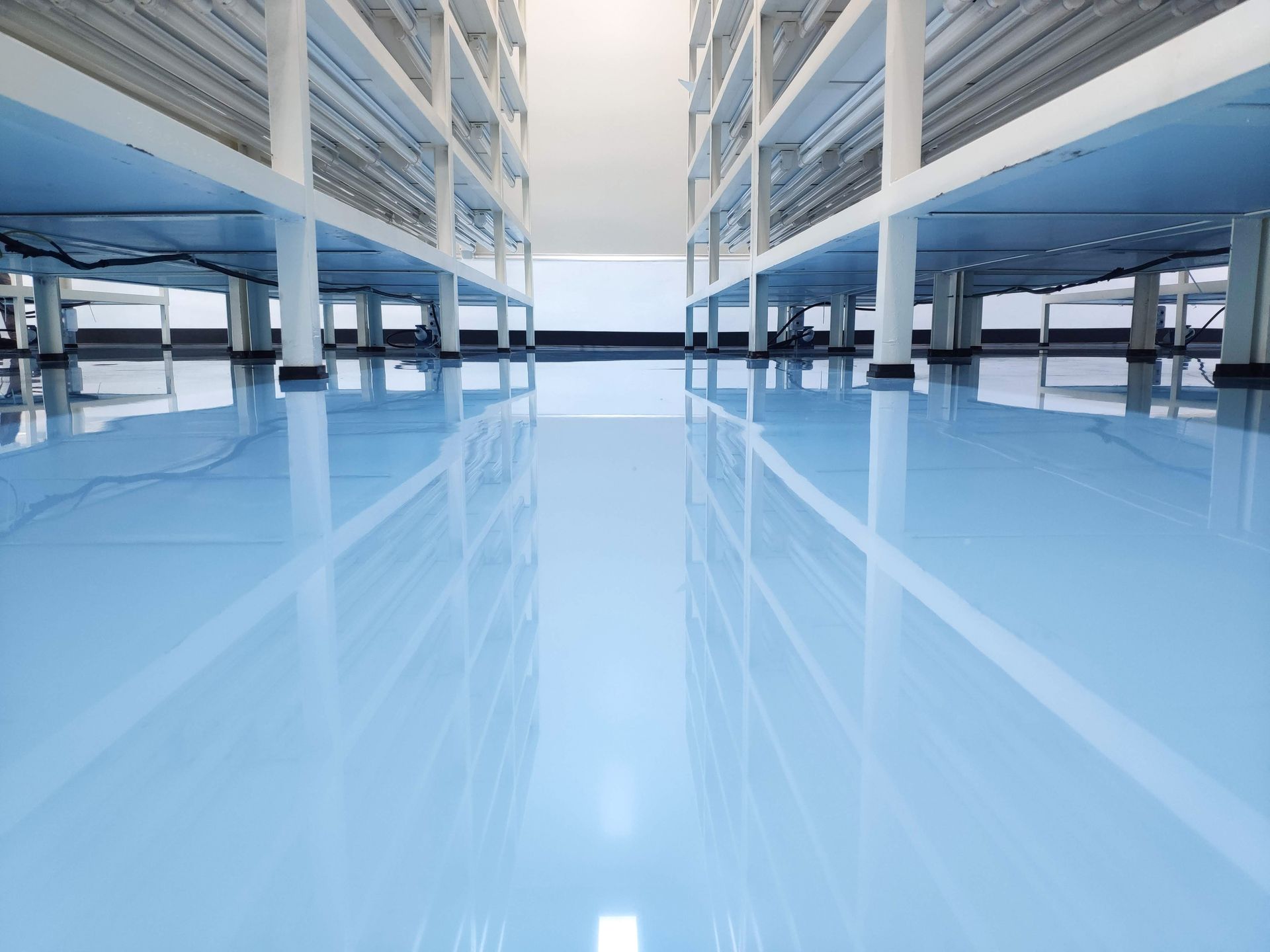 Blue, glossy warehouse floor reflecting white shelving and supports.