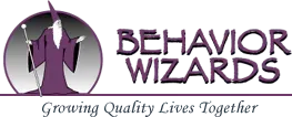 Behavior Wizards
