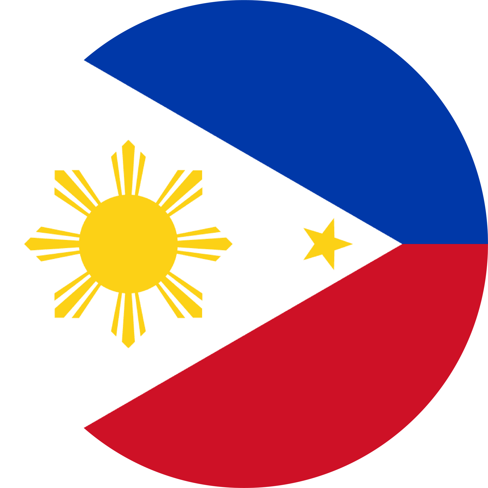 Philippine flag, blue upper half, red lower half, white triangle with sun and star.