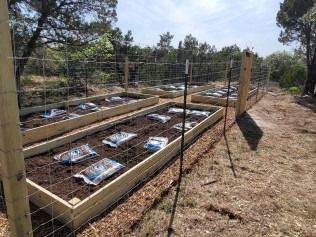 Raised garden beds with wire mesh, soil, and seed packets, surrounded by a fence in an outdoor setting.