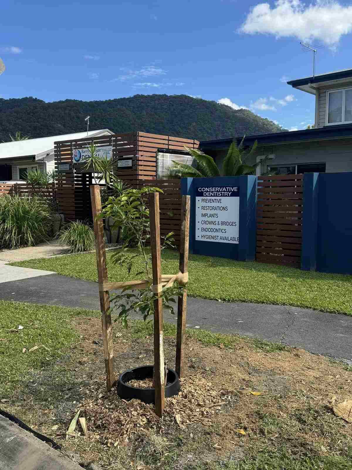 A Small Tree Is Being Planted In Front Of A House — Barry Bennett Dental In Earlville, QLD
