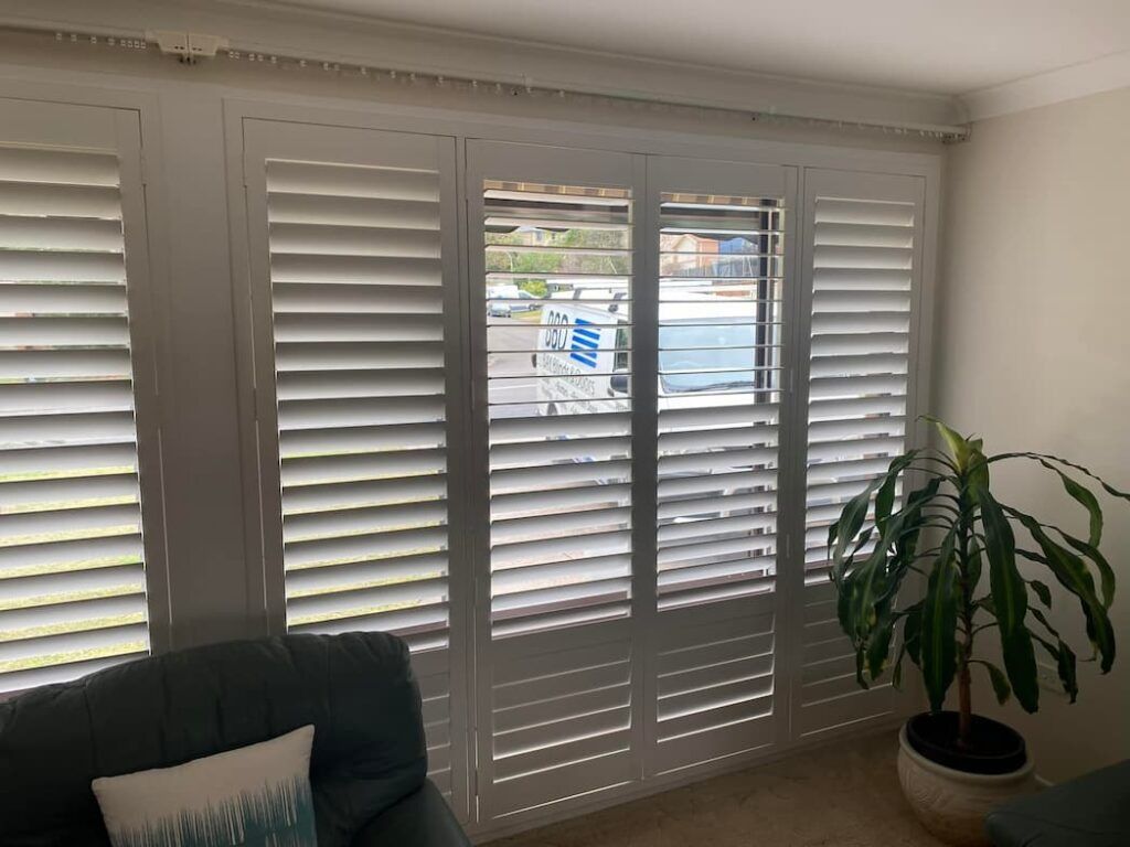 A Living Room With White Shutters On The Windows And A Plant — Bay Blinds & Doors in Bateau Bay, NSW
