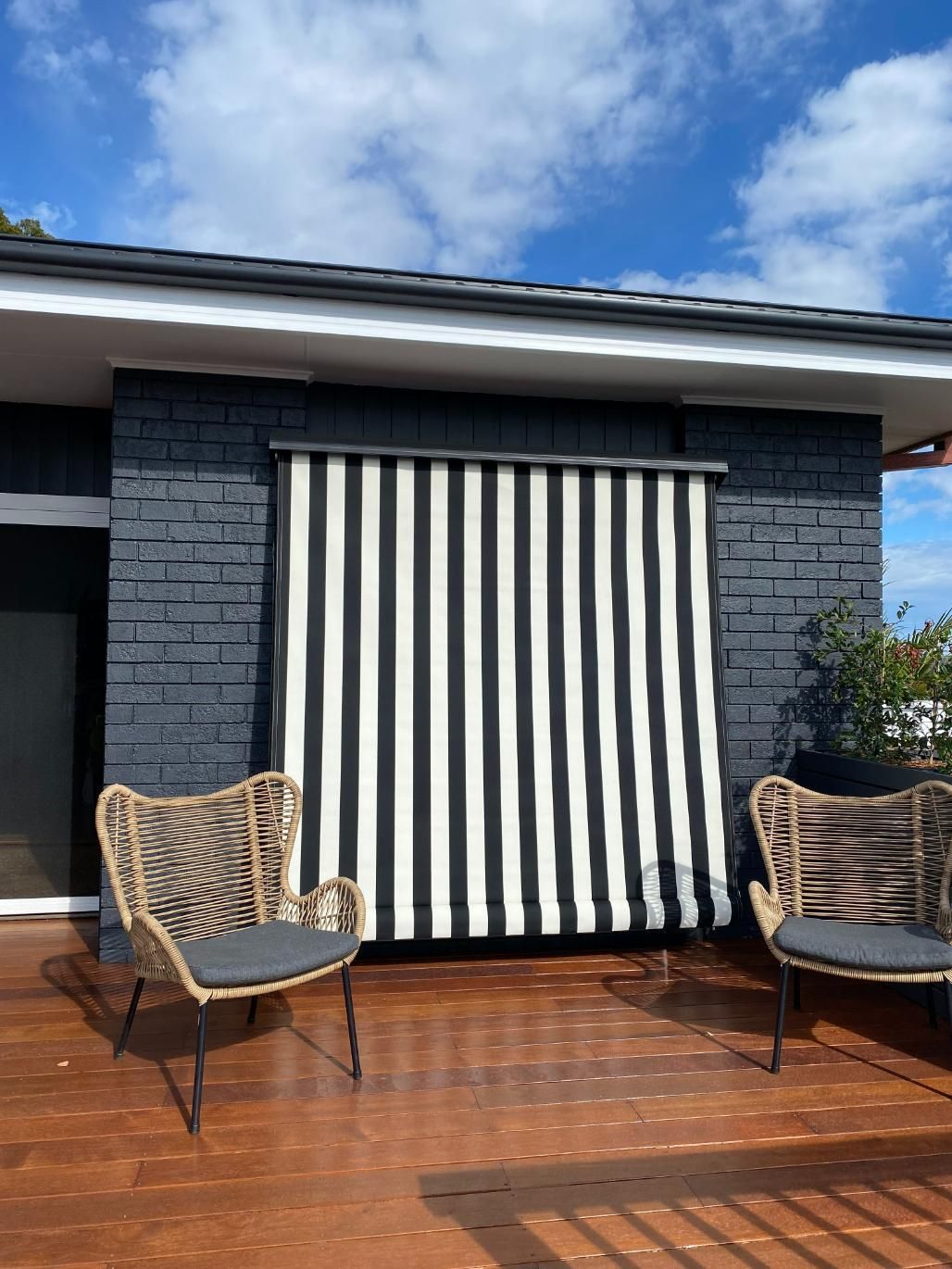 A Cat Is Standing In Front Of A Sliding Glass Door With Blinds — Bay Blinds & Doors in Bateau Bay, NSW