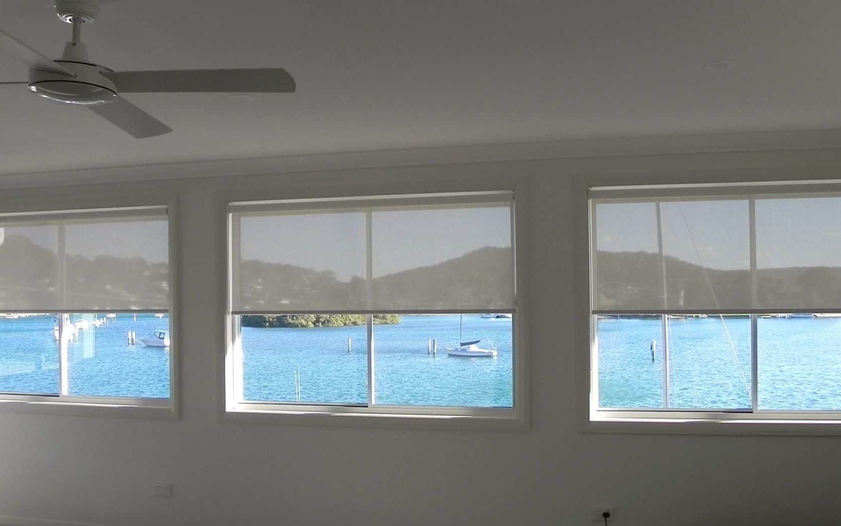 A Cat Is Standing In Front Of A Sliding Glass Door With Blinds — Bay Blinds & Doors in Bateau Bay, NSW