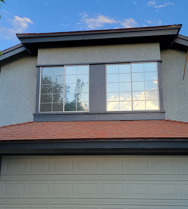 A window with a view of a lush green field and trees.