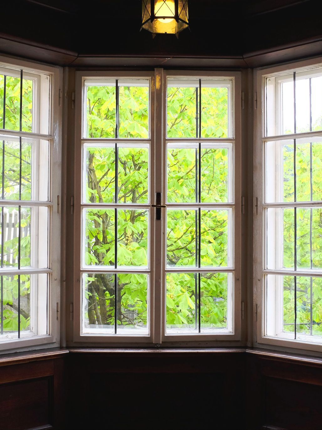 A window with a lot of windows and trees behind it.