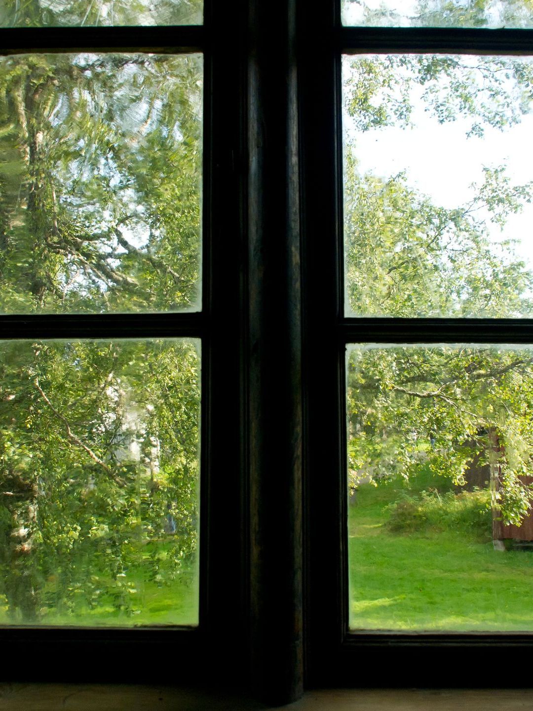 A window with a view of a lush green field and trees.