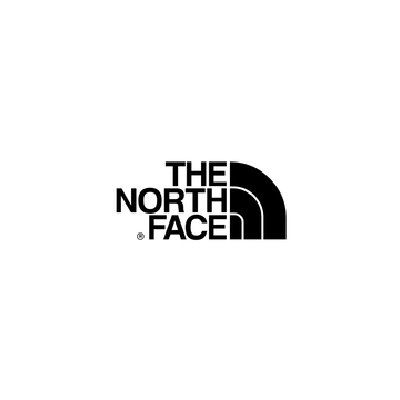 the north face logo