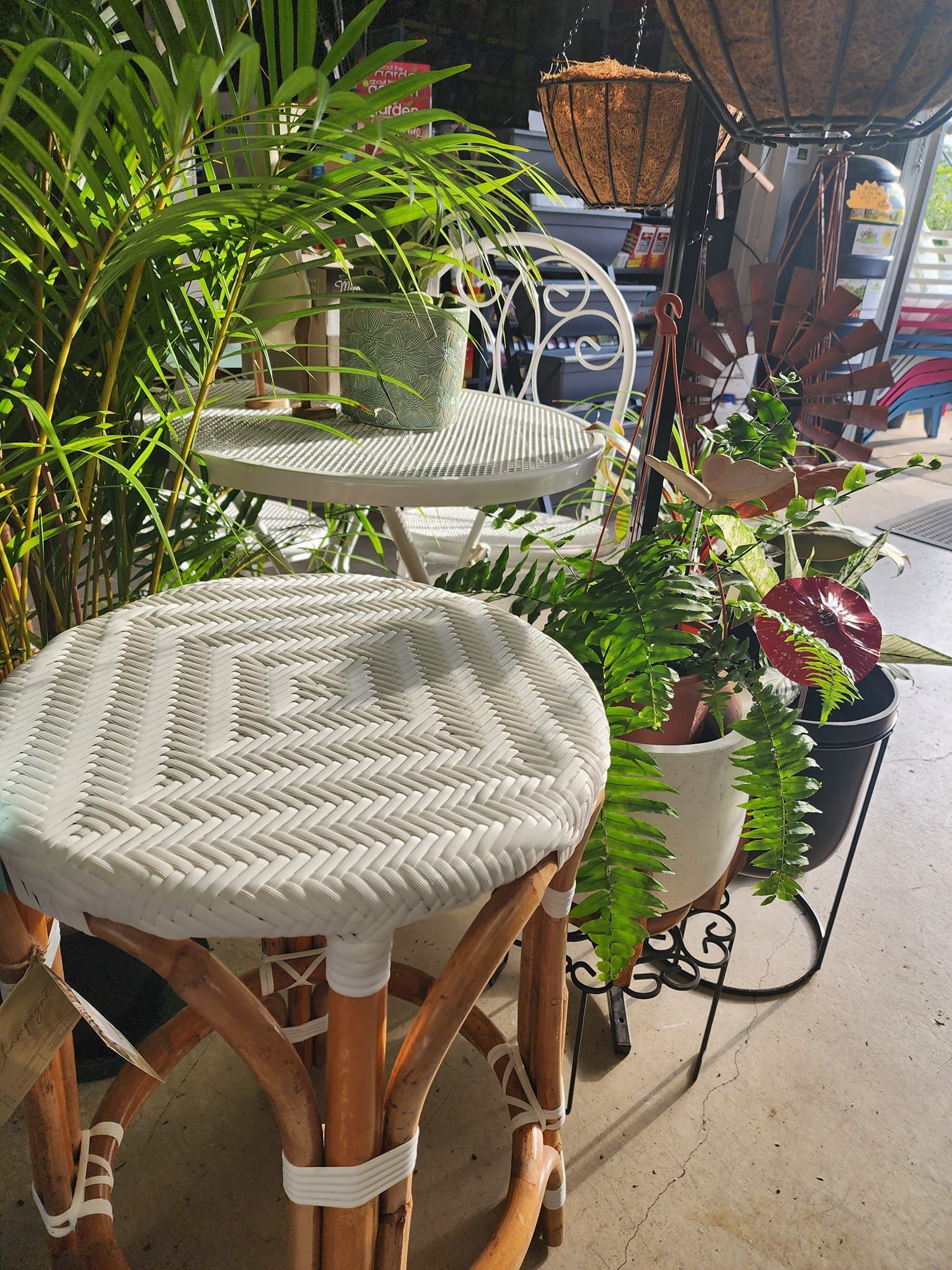 A Bunch of Potted Plants — Beerwah Co-Op in Beerwah, QLD