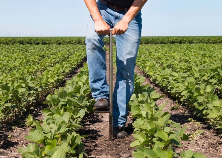 A Man is Using a Tool in a Field of Plants — Beerwah Co-Op in Beerwah, QLD