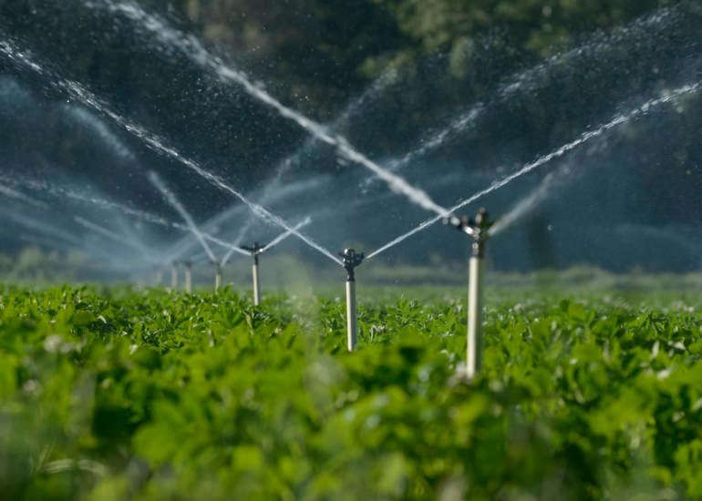 A Row of Sprinklers Are Spraying Water — Beerwah Co-Op in Beerwah, QLD