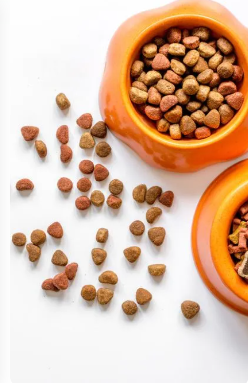 Two bowls of dog food are sitting on a table.