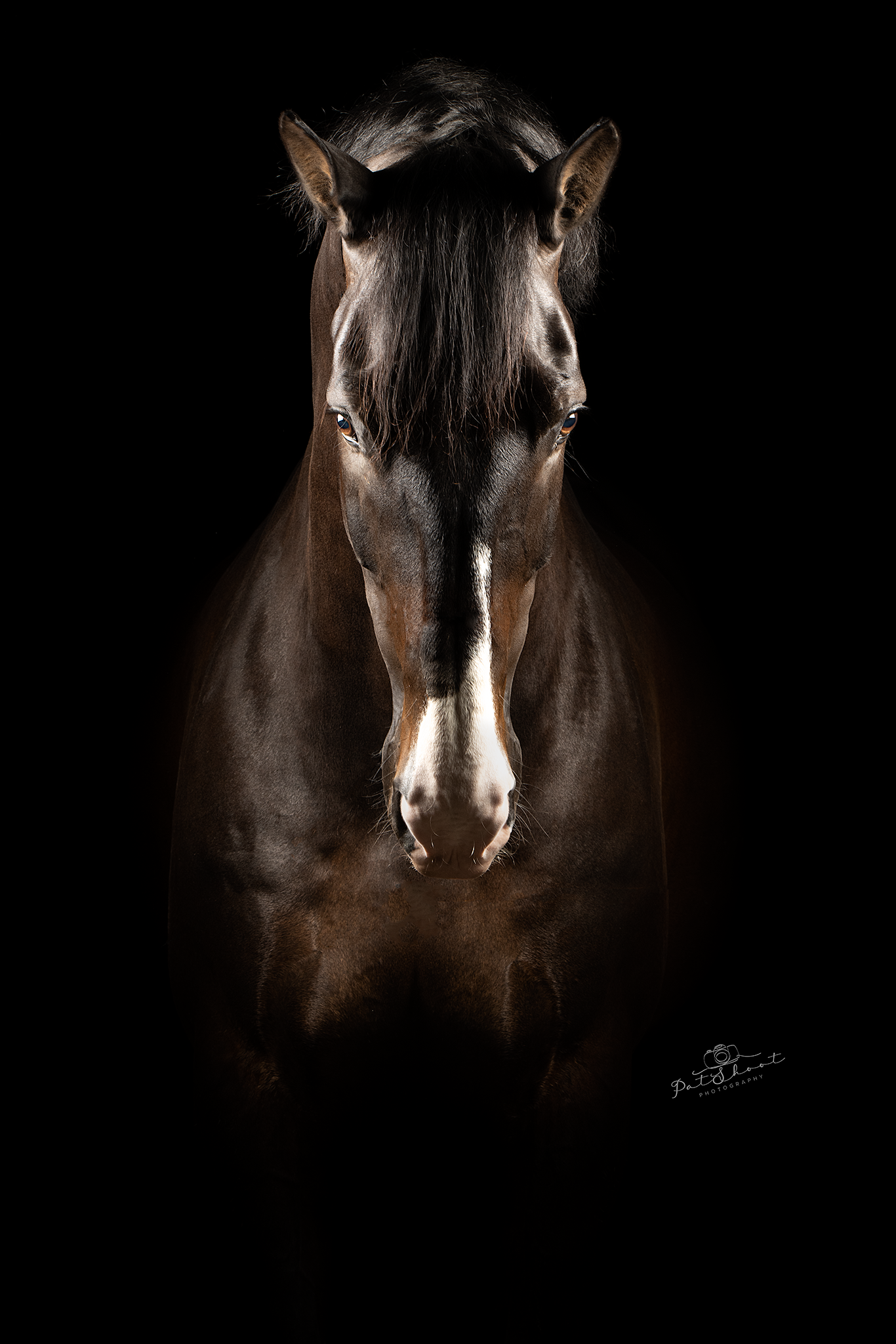 masterclass fine art studio licht