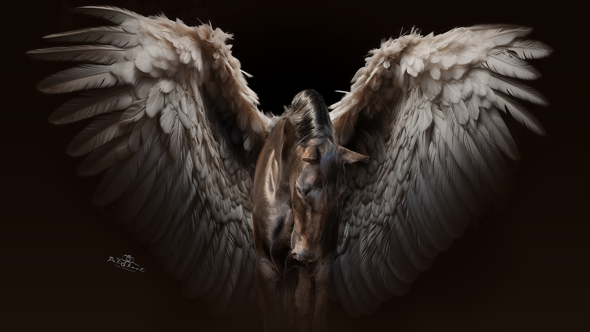 pegasusbewerking-paardenfotografie-vleugelfoto-fineartpaardenfotografie