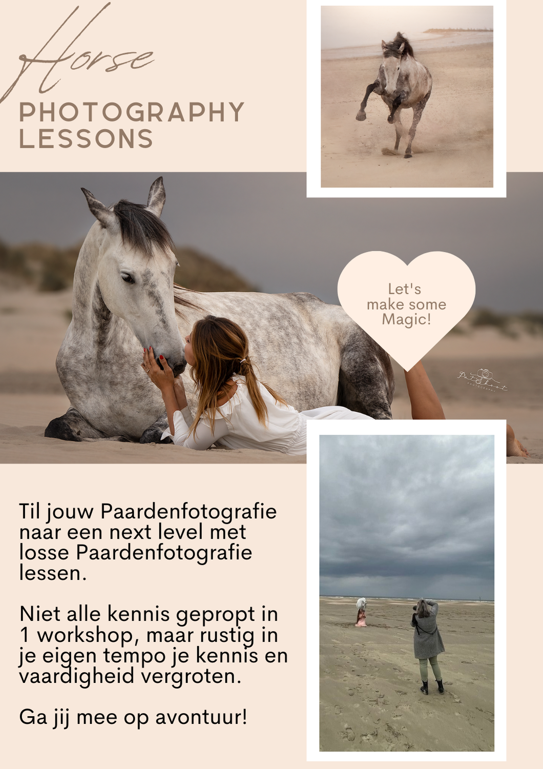 Workshop Paardenfotografie-Paarden fotograferen-Paardenfotografie voor beginners-Paardenfotografie cursus