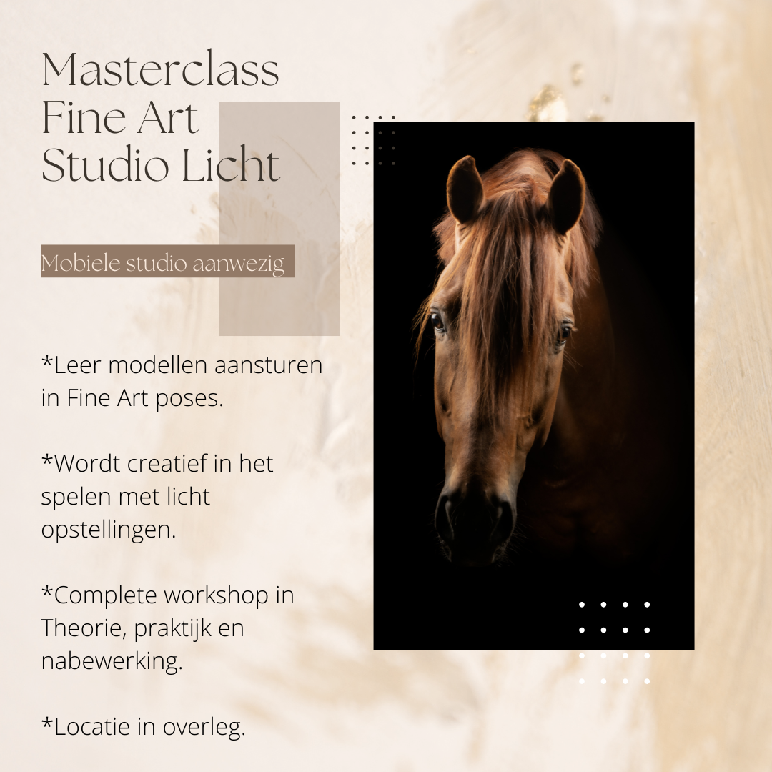 workshop paardenfotografie-workshop FineArt Studiolicht