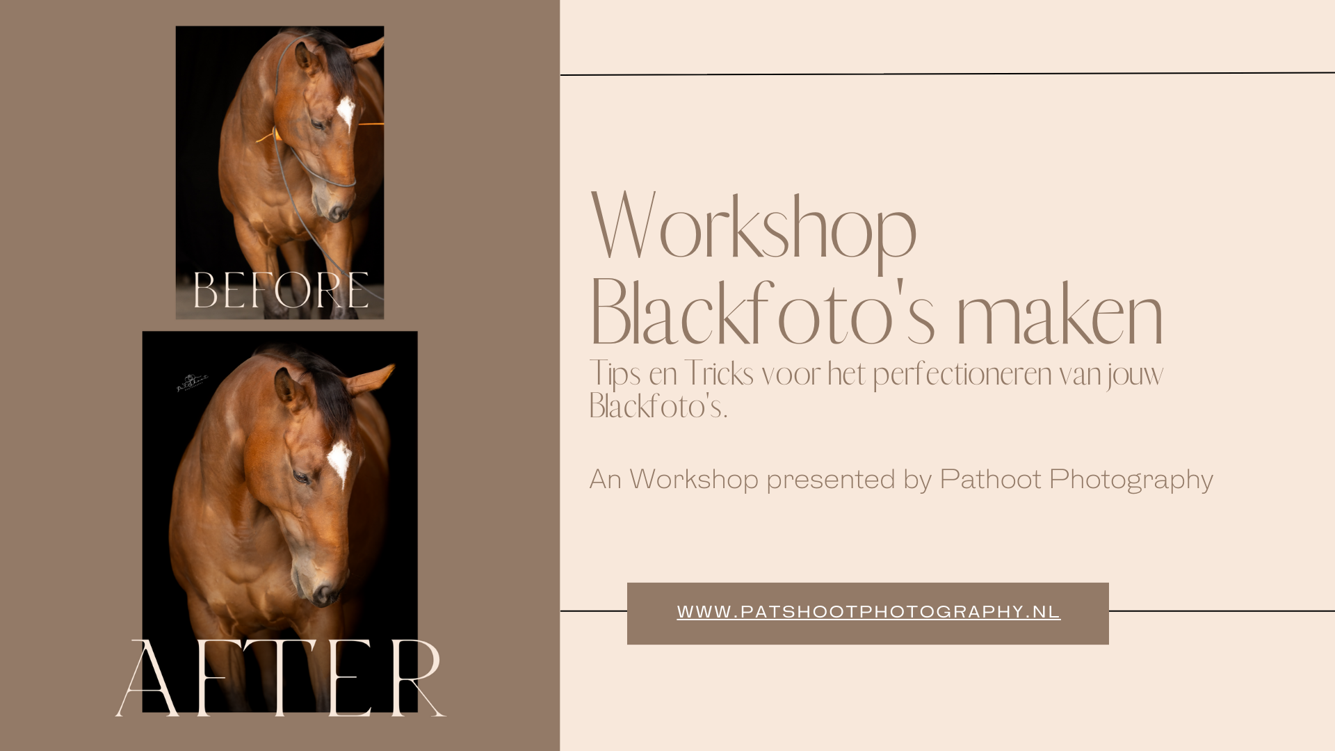 Paardenfotografie-workshop paardenfotografie-Workflow- Blackfoto maken