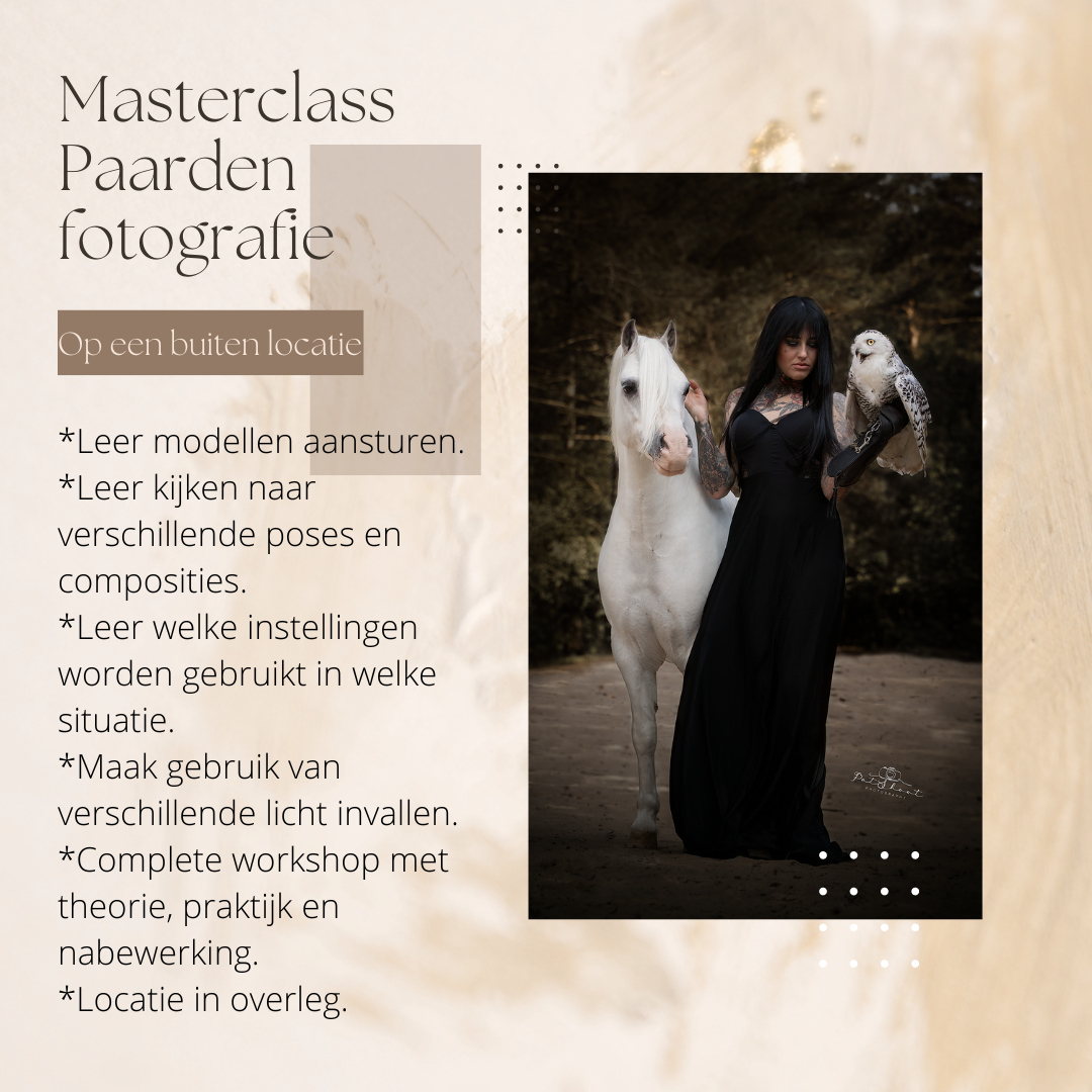 Masterclass Paardenfotografie-workshop Paardenfotografie
