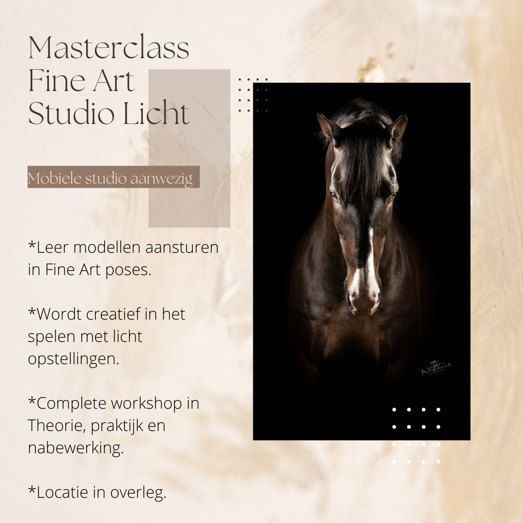 workshop paardenfotografie-workshop FineArt Studiolicht