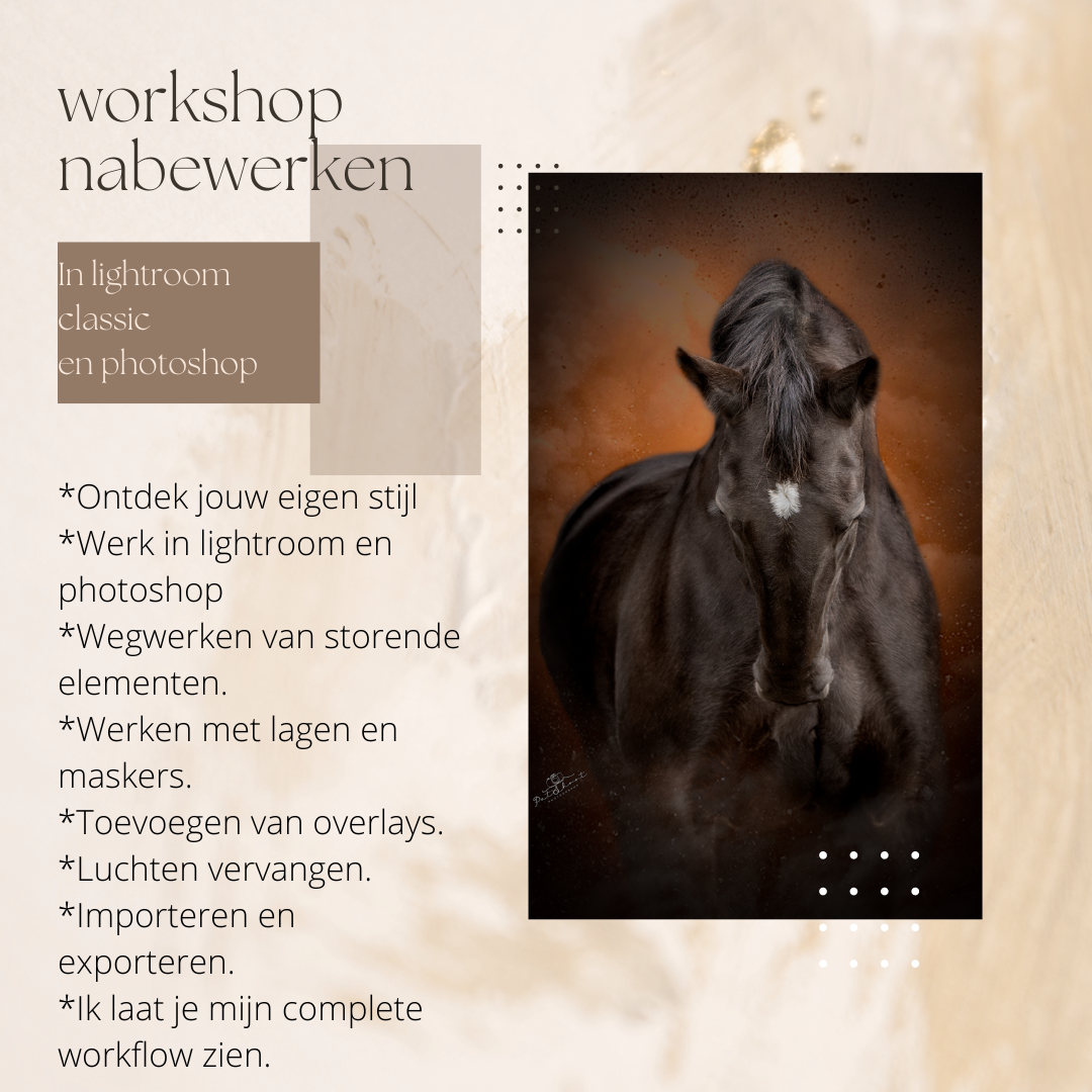 Workshop Paardenfotografie-Workshop Photoshop-Paardenfotografie in Photoshop