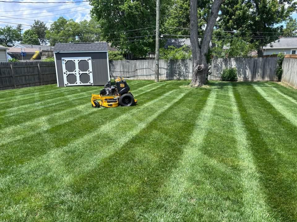 Yellow lawnmower cutting a grassy lawn in front of brick houses on a sunny day.