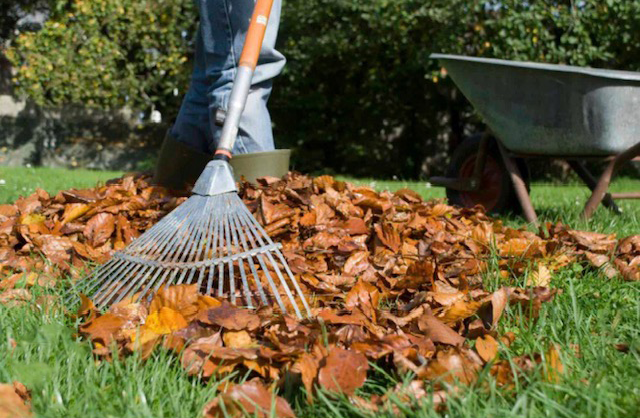 Person with a leaf blower on a driveway; wearing sunglasses, yellow shirt, and gray pants; pointing.