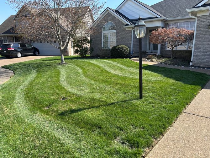 Black truck with lawn care equipment parked on green grass near a tree and houses.