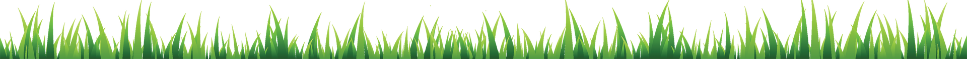 Green blades of grass against a white background.