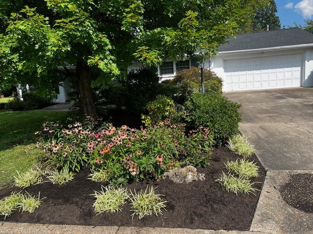 Person mulching garden with wheelbarrow and trailer; green plants, brown mulch, and grey pavement.