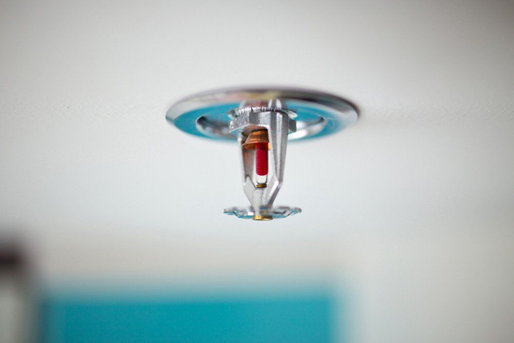 Fire Sprinkler Systems — Sydney, NSW — Eagle Fire Protection Pty Ltd