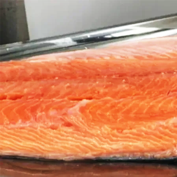 King Salmon