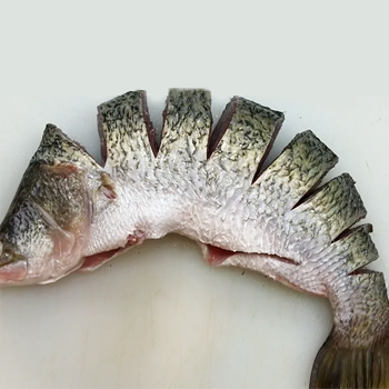 Seabass barramundi