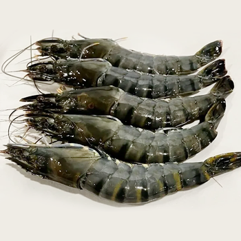 Tiger Prawns
