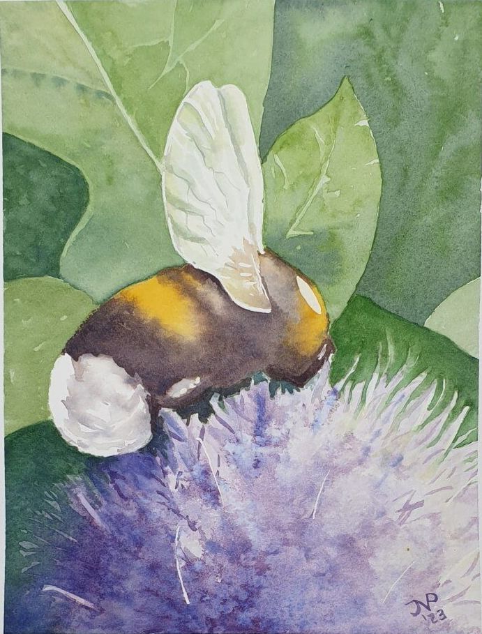 Hommel op blauwe distel, aquarel - Joyce van Paassen Art 2023 ©