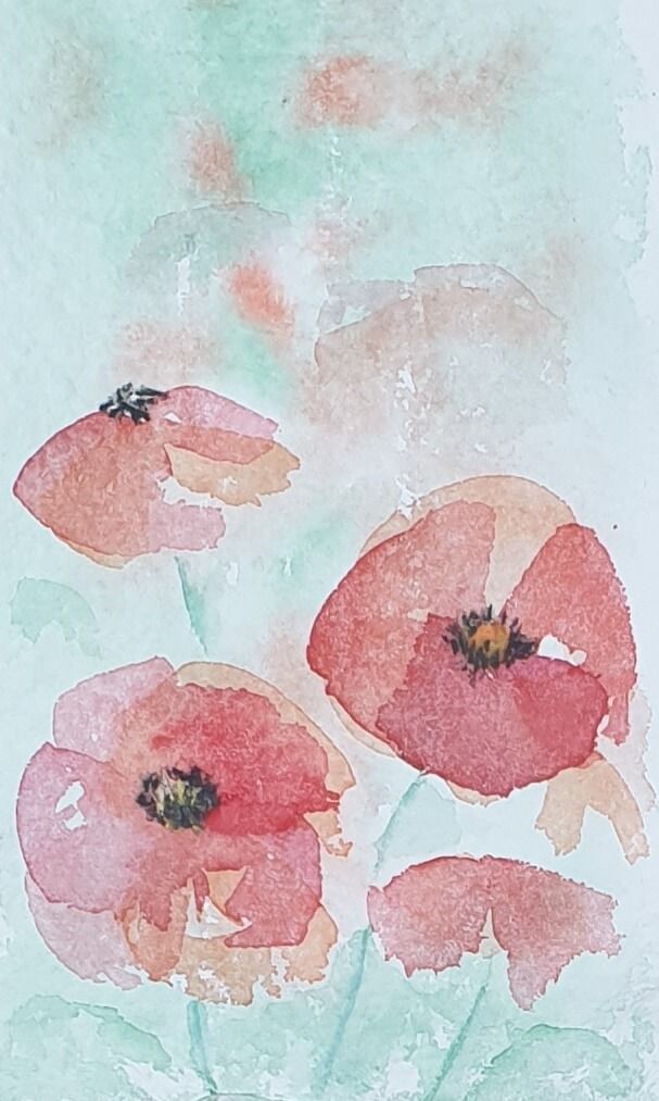 Klaproos in aquarel - Joyce van Paassen Art 2023 © VERKOCHT