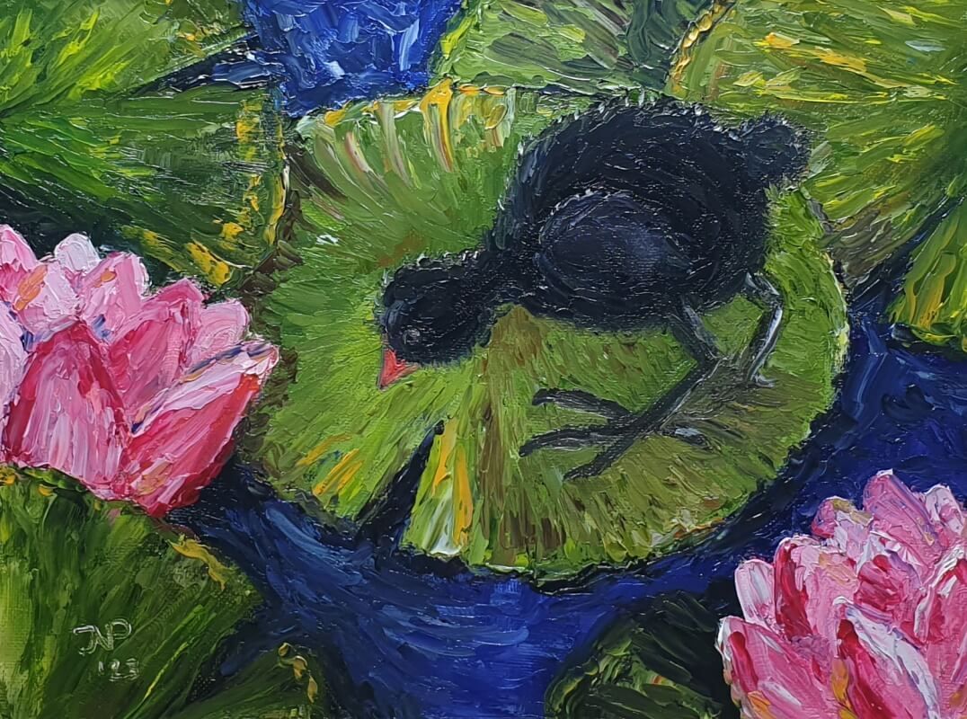 Meerkoetkuiken op waterlelieblad - olieverf paletmes 2023 ©