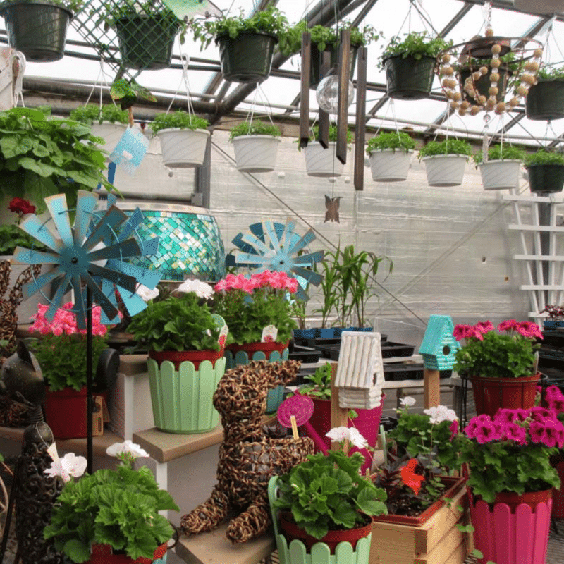 Garden Center Carlton MN The Green House