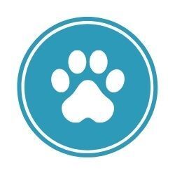 Grandtully Campsite, Pitlochry, Scotland | Well Behaved Pets Allowed