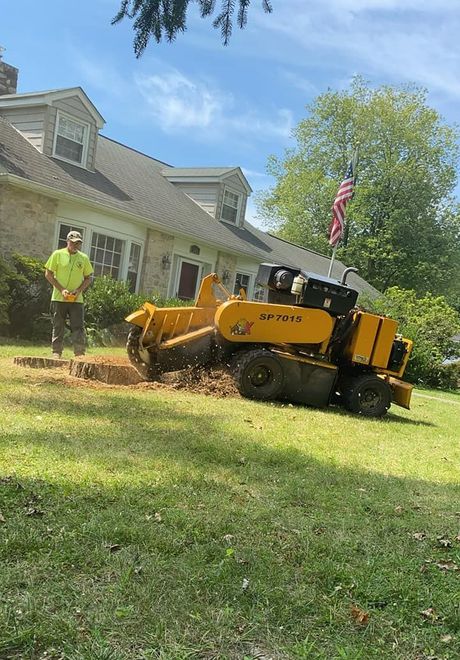Tree Stump Removal — Huntingdon Valley, PA — Liberty Tree Service