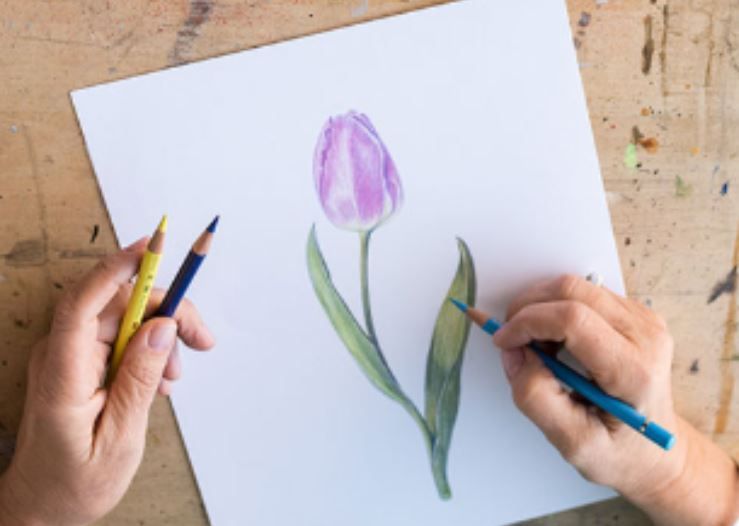 Ocean City Arts Center summer Drawing & Painting Camp