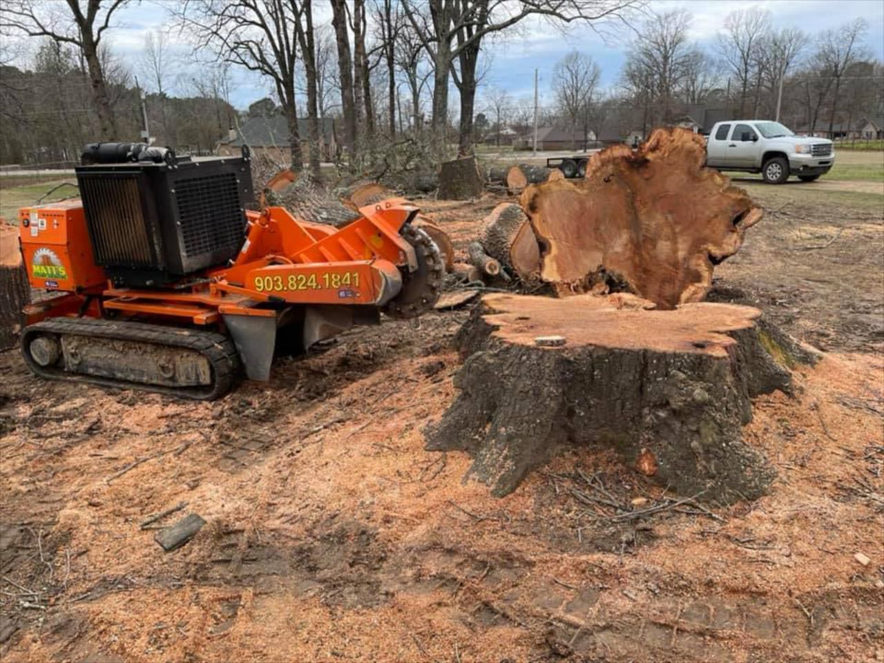 A large tree stump is being removed by a stump grinder.