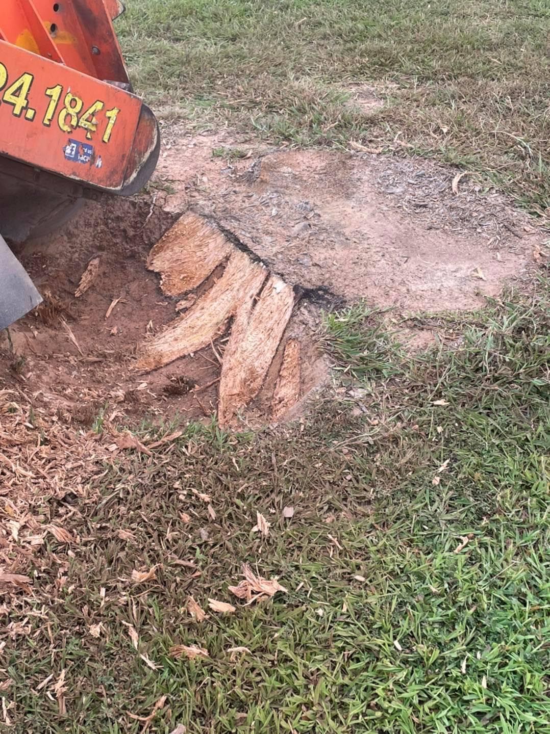 A stump grinder is cutting a tree stump in the grass.