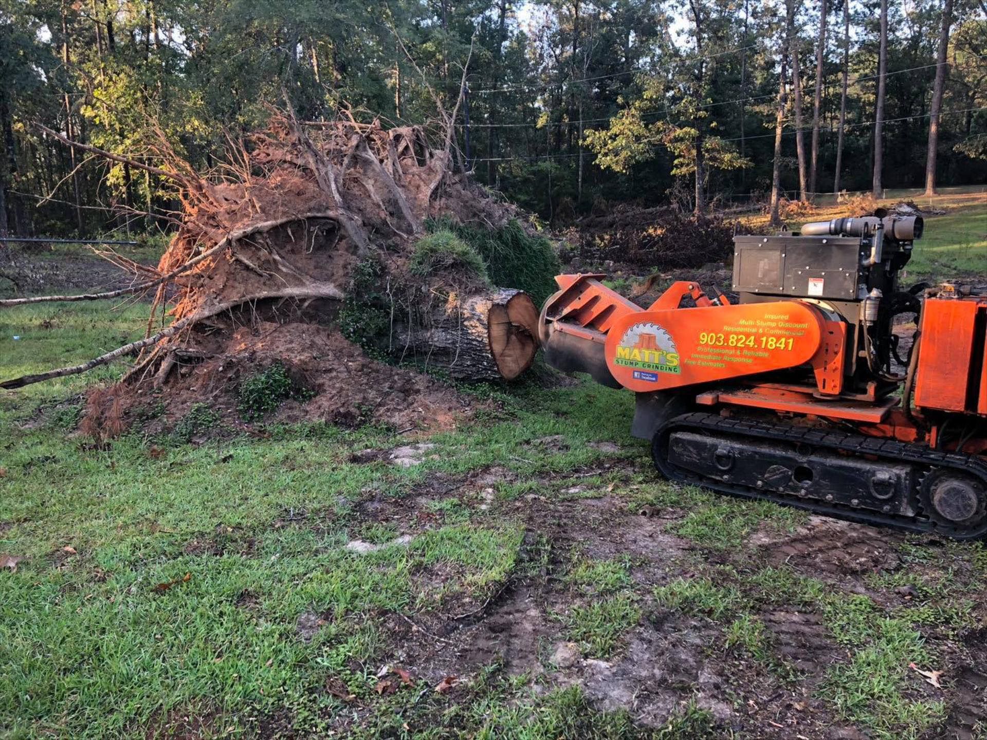 A tree stump grinder is cutting a tree stump in a field.
