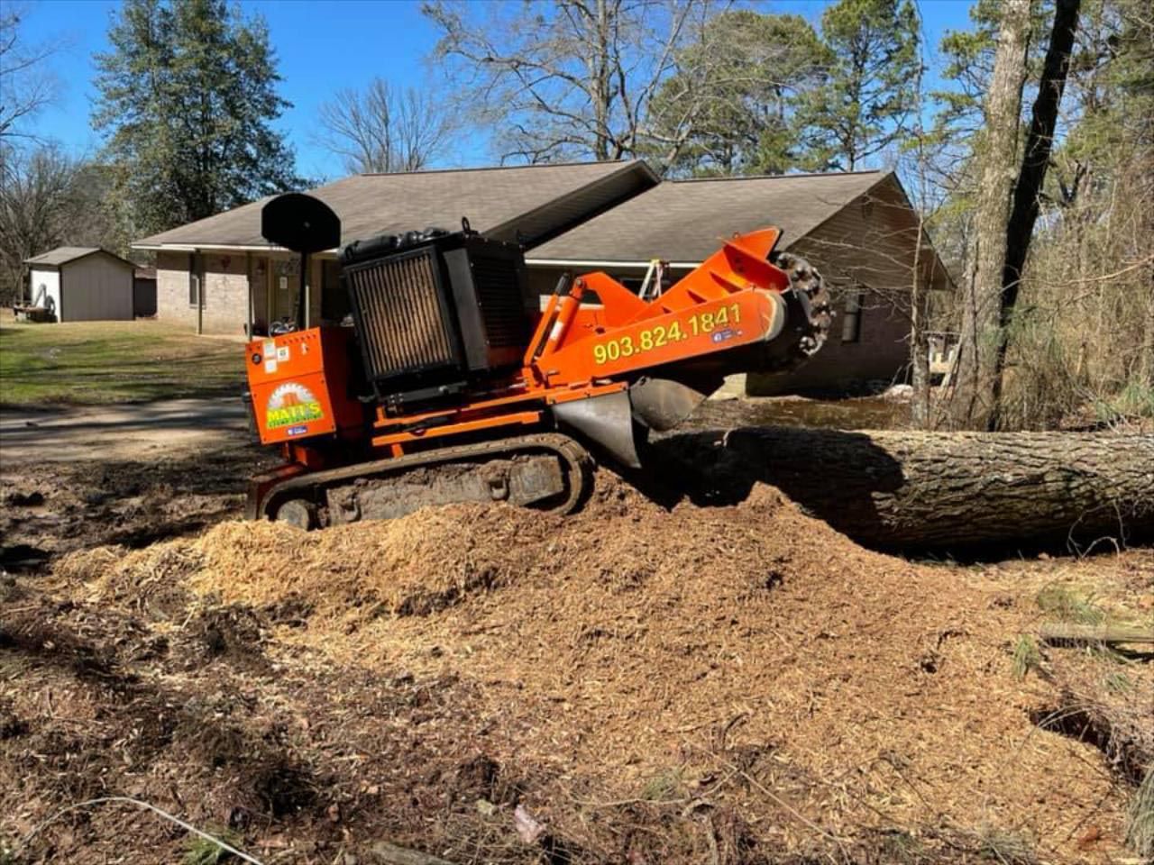 A tractor is stump grinding a tree in front of a house.