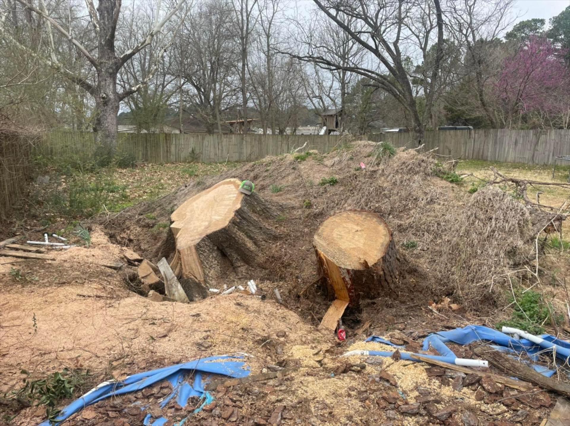 A pile of tree stumps in a yard with a fence in the background.