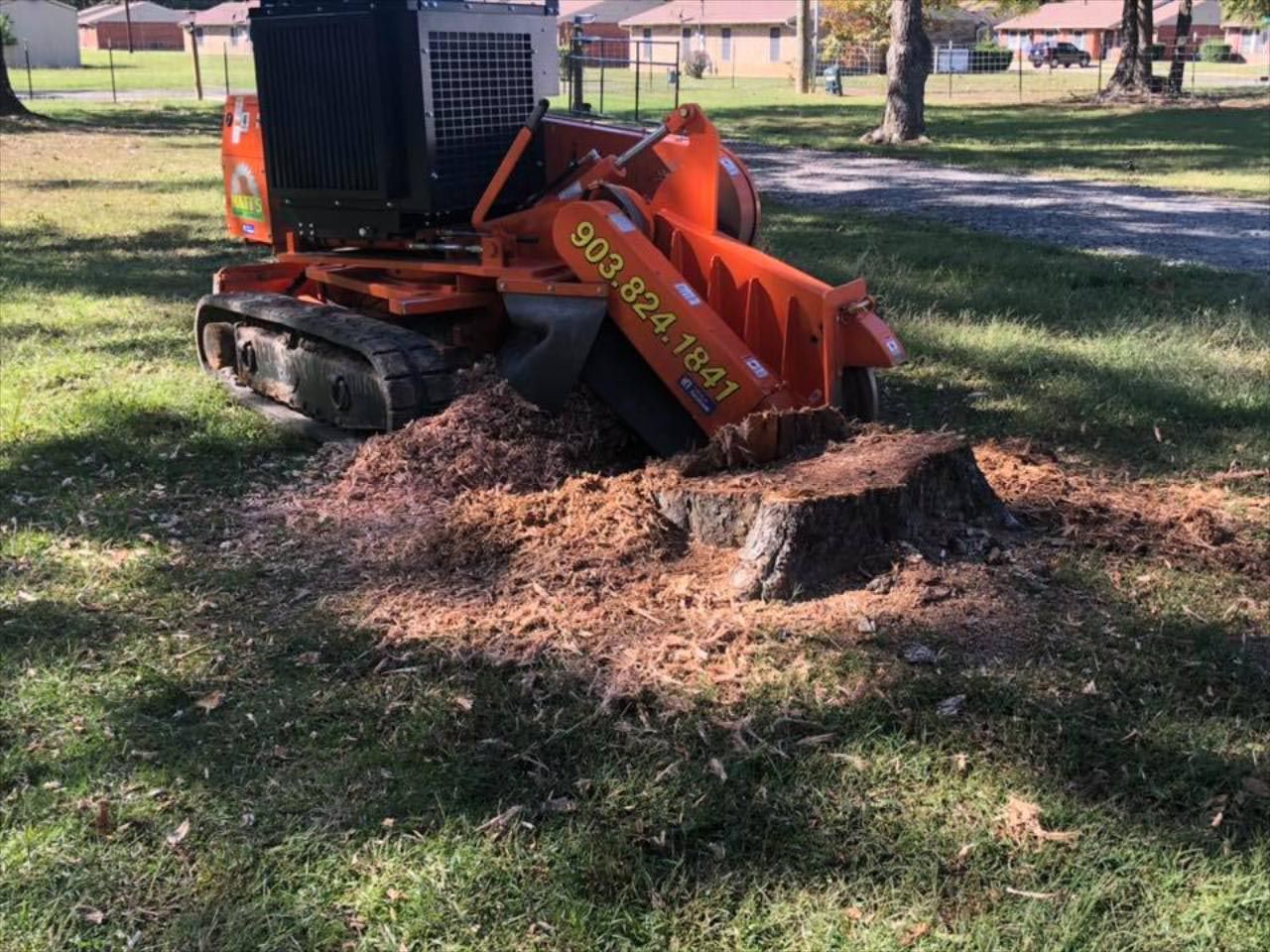 A stump grinder is cutting a tree stump in a park.