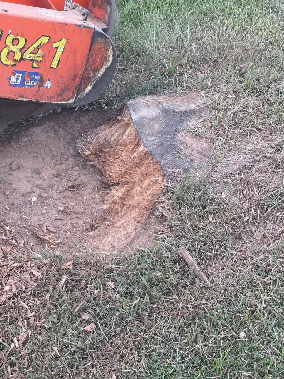 A stump grinder is cutting a tree stump in the grass.