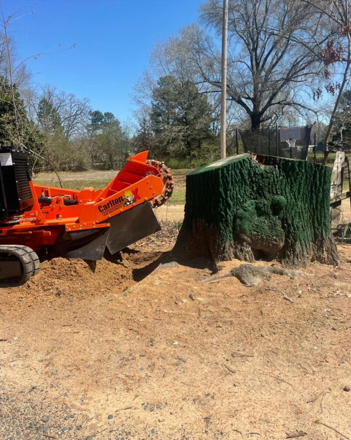 A large tree stump is being removed by a stump grinder.