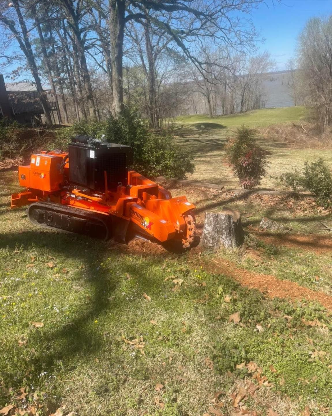 A stump grinder is cutting a tree stump in a yard.