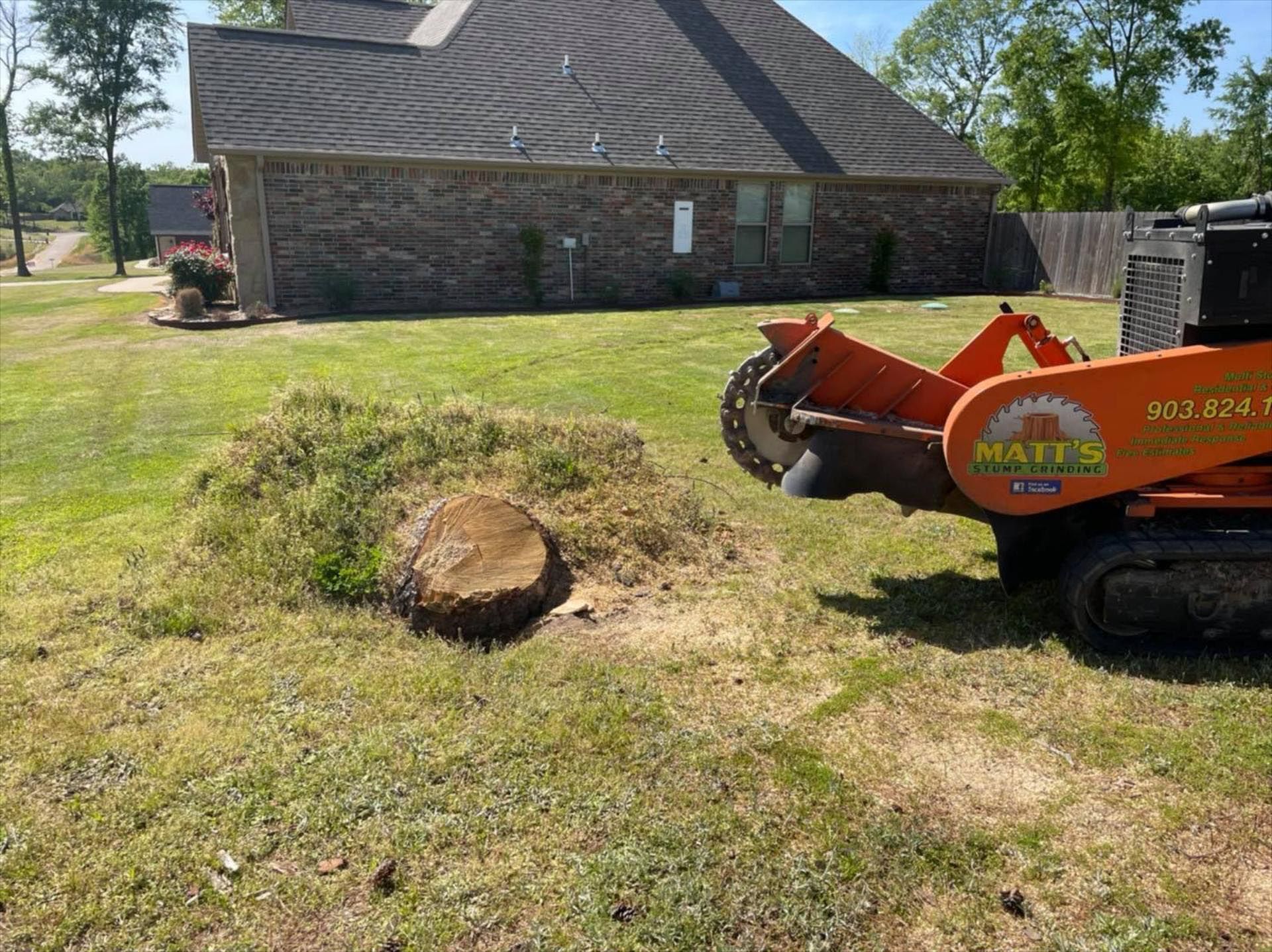 A stump grinder is cutting a tree stump in the grass in front of a house.
